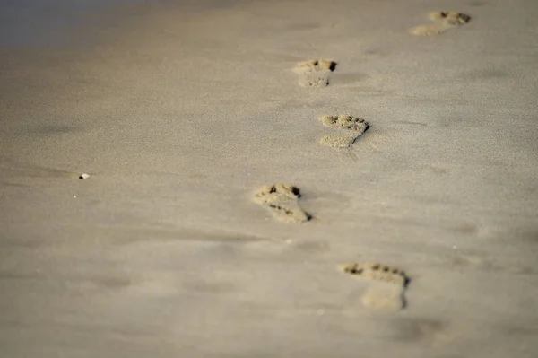 Detalle Disparo Con Huellas Hombre Arena Una Playa —  Fotos de Stock