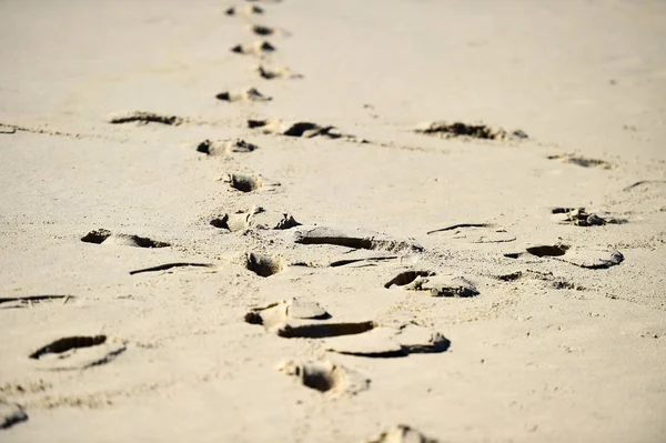 Detalhe Tiro Com Pegadas Homem Areia Uma Praia — Fotografia de Stock