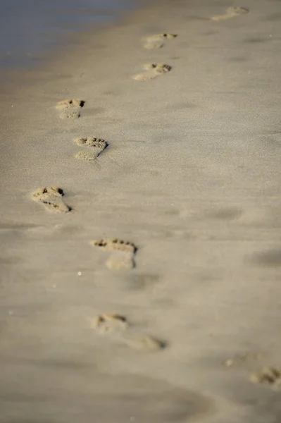 รายละเอ ยดถ ายด วยรอยเท ามน บนทรายบนชายหาด — ภาพถ่ายสต็อก