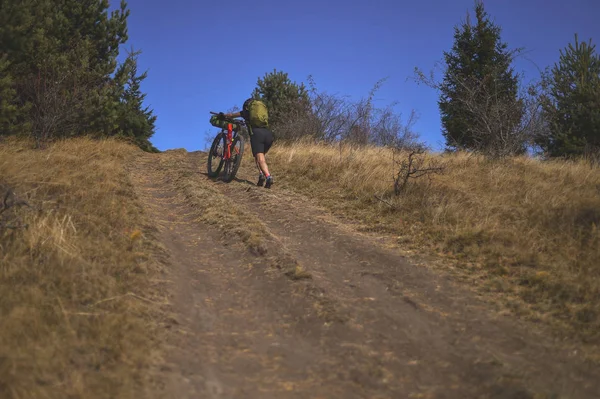 Otoño Escena Montaña Caballo Con Una Bicicleta Montaña Equipada Con —  Fotos de Stock