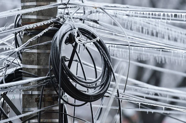 Donmuş Yağmur Olayından Sonra Elektrik Kabloları Buzla Kaplandı — Stok fotoğraf
