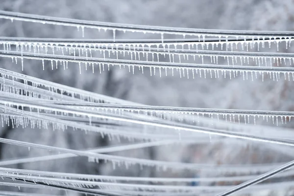Cabos Eletricidade Cobertos Gelo Após Fenômeno Chuva Congelada — Fotografia de Stock