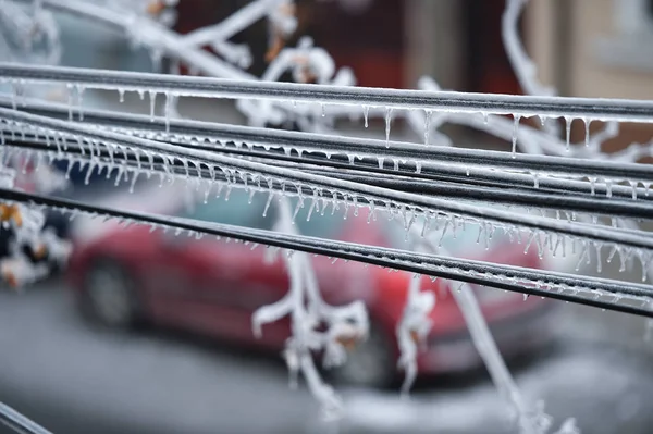 Elektrické Kabely Pokryté Ledem Zamrzlém Dešti — Stock fotografie