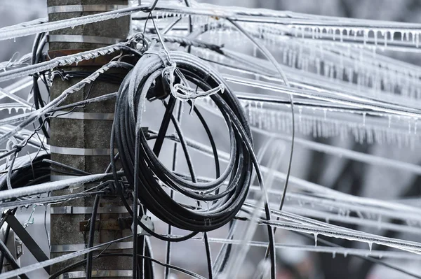 Câbles Électriques Recouverts Glace Après Phénomène Pluie Gelée — Photo