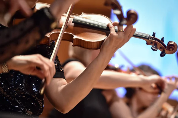 Παίχτες Του Βιολί Έχουν Λεπτομέρεια Κατά Διάρκεια Της Ορχήστρας Φωτογραφία Αρχείου