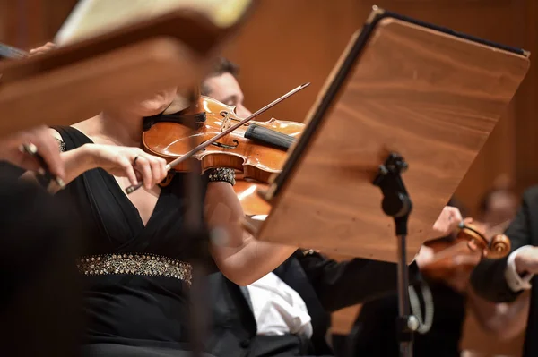 Détail Main Des Violonistes Pendant Représentation Orchestre Philharmonique — Photo