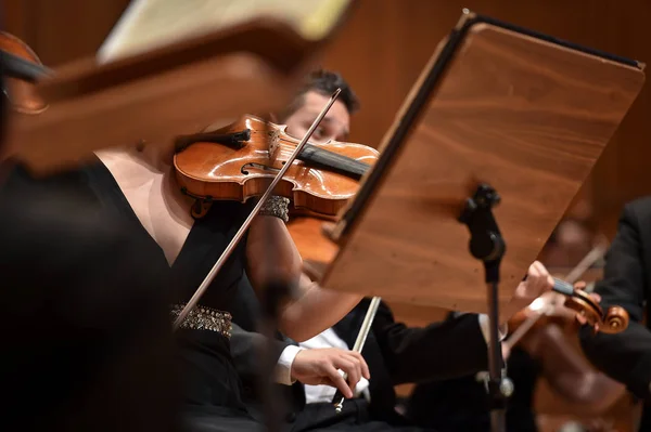 Violin players hand detail during philharmonic orchestra performance