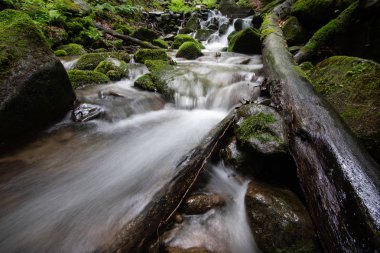 Güzel dağ rainforest şelale hızlı akan su ve kayalar, uzun pozlama ile.