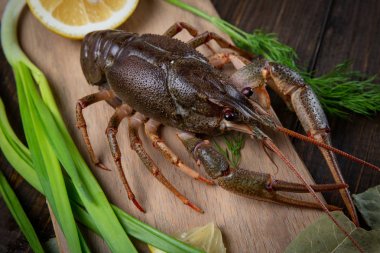 Kerevit. Rustik tarzı, closeup masada kırmızı haşlanmış crawfishes. Istakoz portre.