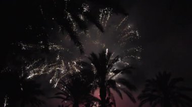 Havai fişek birden çok. Havai fişek. Renkli havai fişek atn tatil gece