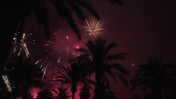 Fuegos artificiales múltiples. Fuegos artificiales. Coloridos fuegos artificiales en la noche de vacaciones — Vídeos de Stock