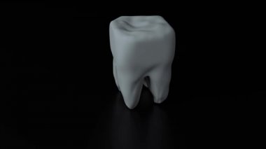 Siyah arka plan üzerine diş. Döngü. İzole. Animasyon tıp kavramı. 3D render