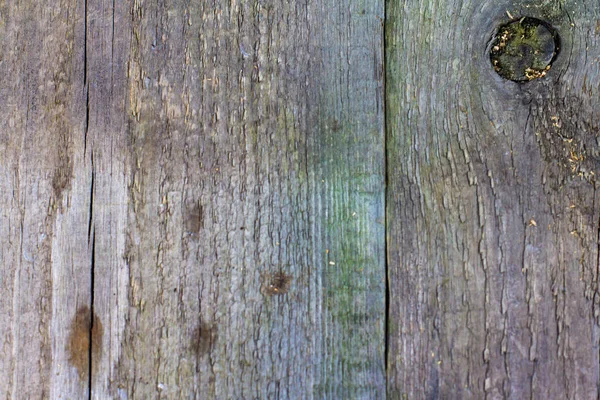 Trä gamla plankor textur fondvägg — Stockfoto