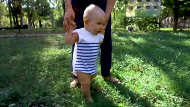 Little baby learns to walk. First Steps. Parents are teaching their child to do the first steps on a green grass in summer. Happy childhood and Parenthood concept. Family love — Stock Video