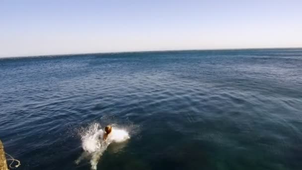 Ευτυχισμένο παιδί που πηδάει στη θάλασσα. Αργή κίνηση. Ευτυχισμένο αγοράκι που πηδάει στο νερό κοντά στη θάλασσα. Το παιδί σηκώνει πιτσιλιές.. — Αρχείο Βίντεο