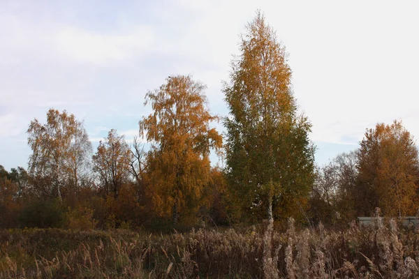 Barvy Podzimu Západu Slunce — Stock fotografie