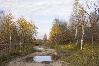 Açık bir sonbahar günü. Bulutun arkasındaki güneş