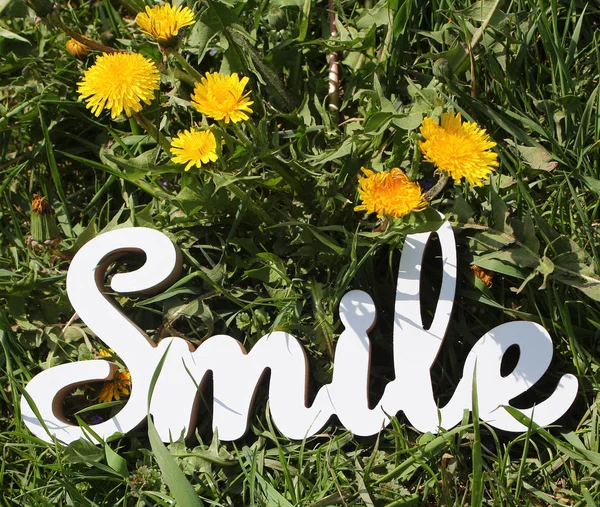 Positive Text Smile Grass Background Flowers — Stock Photo, Image