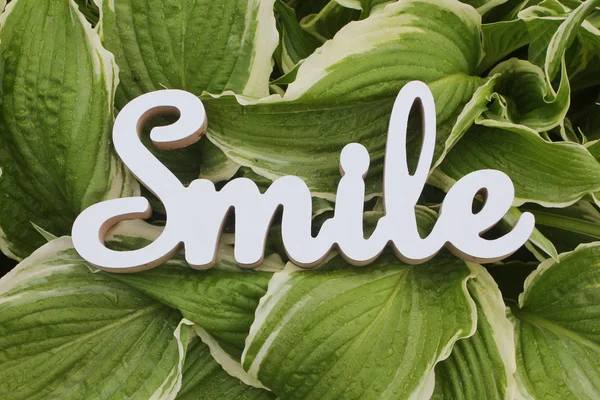 White Lettering Message Smile Background Flower Bed — Stock Photo, Image