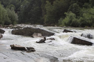 bir dağ dere hızlı su kayalar arasında fırtınalı bir şelale tarafından düşüyor