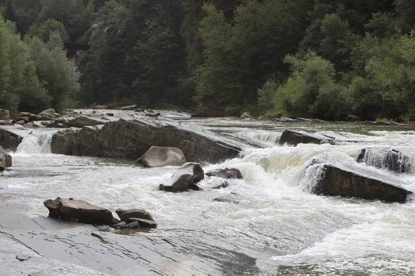 bir dağ dere hızlı su kayalar arasında fırtınalı bir şelale tarafından düşüyor