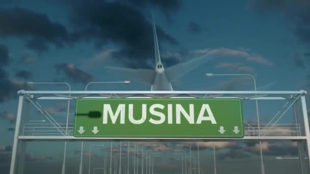 Літак приземляється в Мусіні на південь Африки. — стокове відео