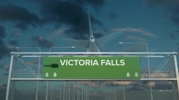 빅토리아 폭포에 착륙 한 비행기 — 비디오