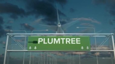 Plumtree Zimbabwe 'ye inen uçak.