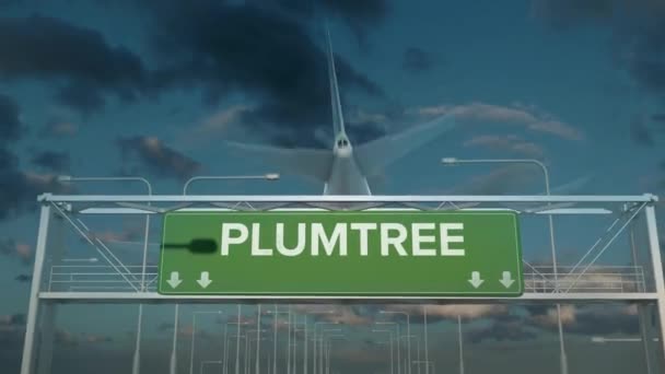 Το αεροπλάνο που προσγειώνεται στο Plumtree zimbabwe — Αρχείο Βίντεο