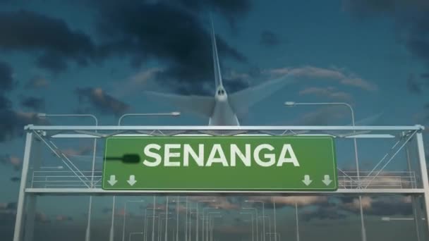 Το αεροπλάνο που προσγειώνεται στη Σενάνγκα — Αρχείο Βίντεο