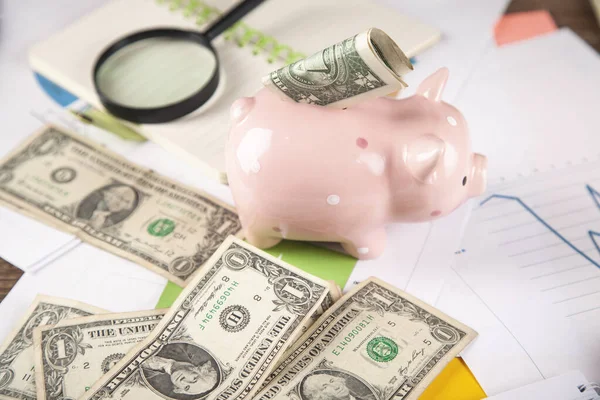 Money with piggy bank on the document — Stock Photo, Image