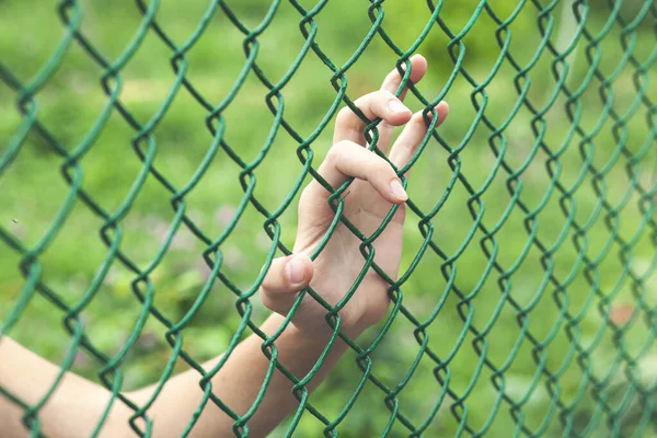 Female hand holding mesh fence, feeling no freedom and want to go to green world outside