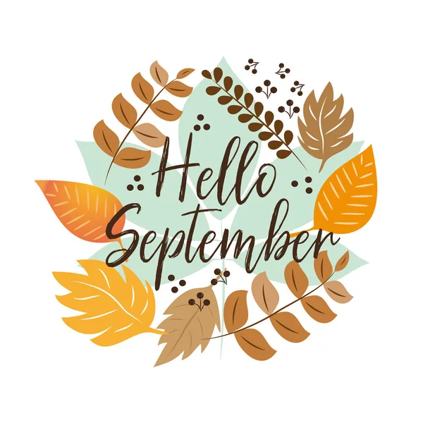 Hola Texto Otoño Septiembre Dibujado Mano Diferentes Hojas Otoño Color — Vector de stock