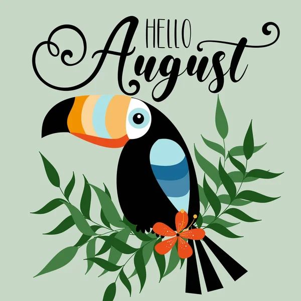 Hello August Summer Greeting Text Toucan Bird Green Background — Stock Vector