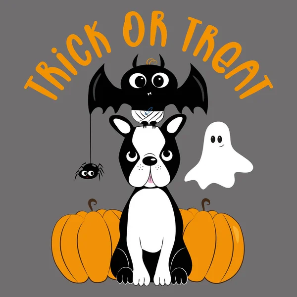 Trick Treat Halloween Set Murciélago Dibujado Mano Araña Boston Terrier — Vector de stock
