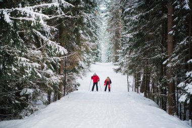 Mutlu ve mutlu bir adam ve kadın kış ormanında kayak gezisinde.