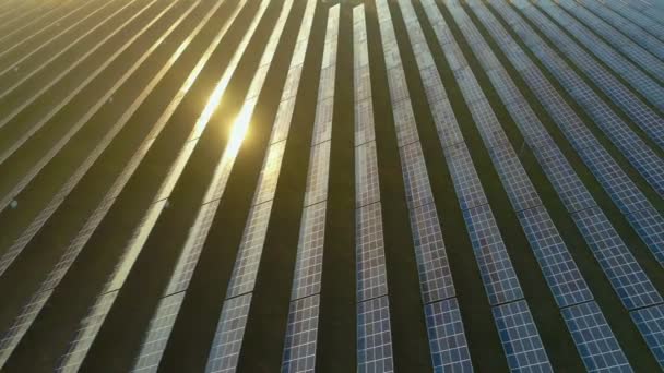 Grande Campo Painéis Solares Fotovoltaicos Azuis — Vídeo de Stock