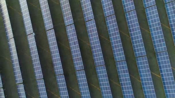 Gran Campo Paneles Solares Fotovoltaicos Azules — Vídeo de stock