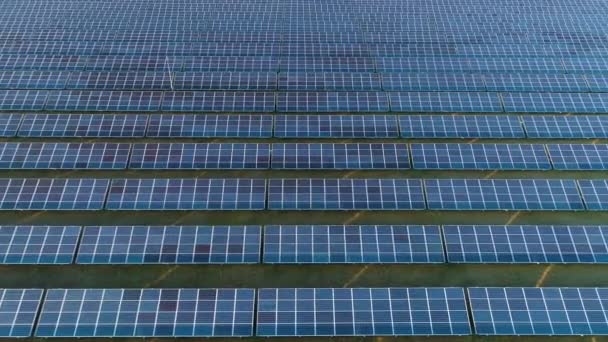 Large Field Blue Photovoltaic Solar Panels — Stock Video