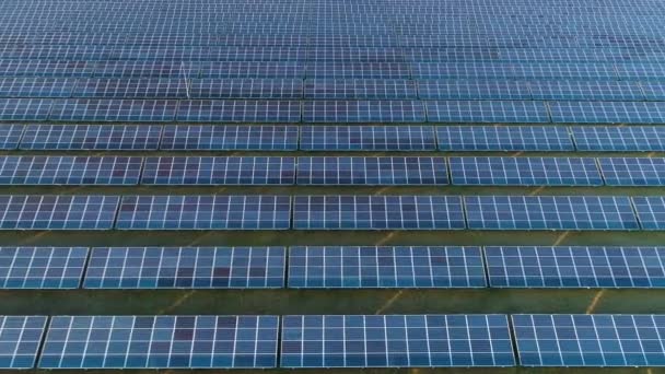 Gran Campo Paneles Solares Fotovoltaicos Azules — Vídeos de Stock