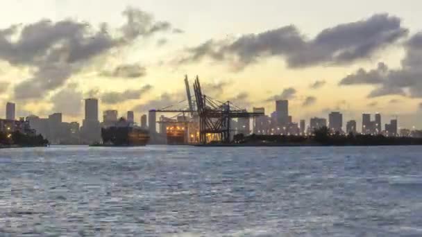 Μαϊάμι Λιμάνι Και Μαϊάμι Urban Skyline Βράδυ — Αρχείο Βίντεο