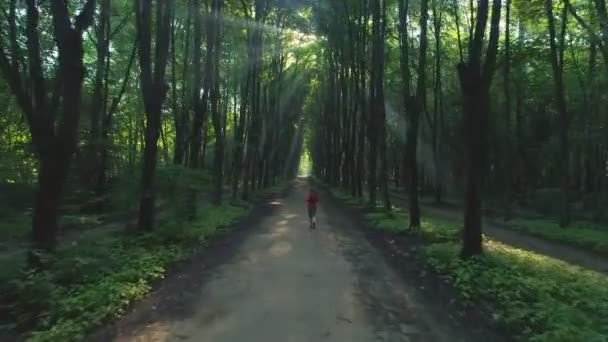Joven Mujer Está Corriendo Hermoso Callejón Verde — Vídeo de stock