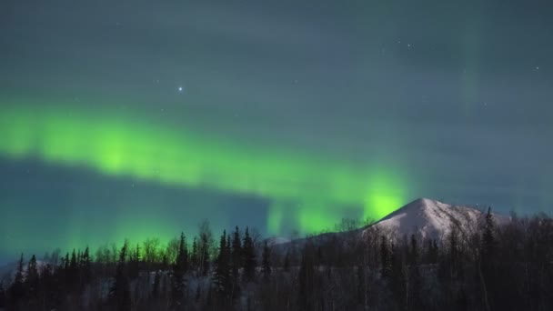 绿油油的北极光雪山 树木繁茂 — 图库视频影像