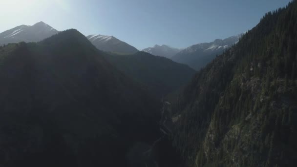 Groene Heuvels Besneeuwde Bergen Zonnige Ochtend — Stockvideo