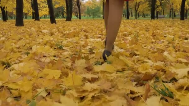 Πόδια Της Νεαρής Λεπτής Όμορφης Γυναίκας Τρέχουν — Αρχείο Βίντεο