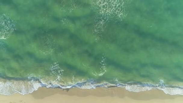 Ocean Sandy Beach Sunny Morning Aerial — Stock Video
