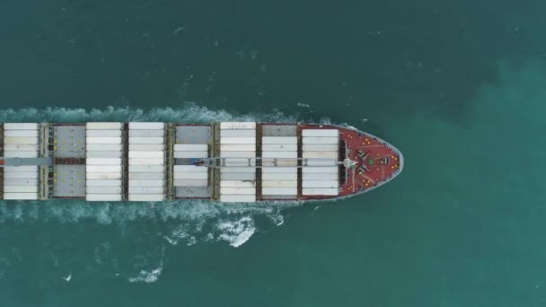 Μεγάλο Φορτηγό Πλοίο Εμπορευματοκιβώτια Στη Θάλασσα — Αρχείο Βίντεο
