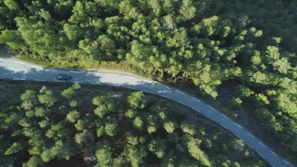 Coche Blanco Camino Campo Verde — Vídeo de stock