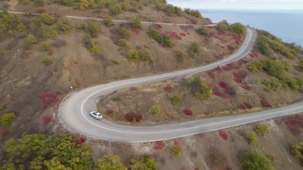 White Crossover Car Goes Serpentine Mountain — Stockvideo