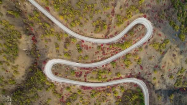 White Car Goes Serpentine Mountain Road Aerial — Stockvideo